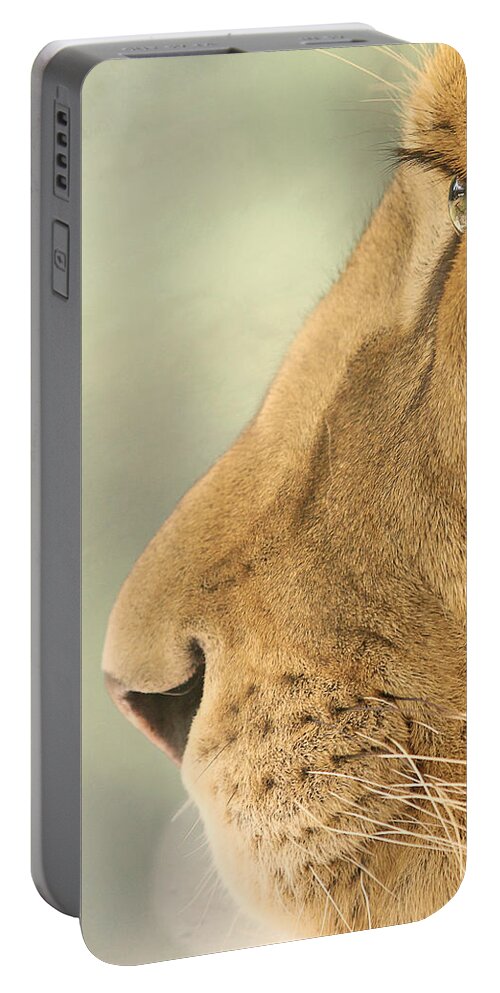 Nature Portable Battery Charger featuring the photograph The Lion and The Fly by Carrie Ann Grippo-Pike