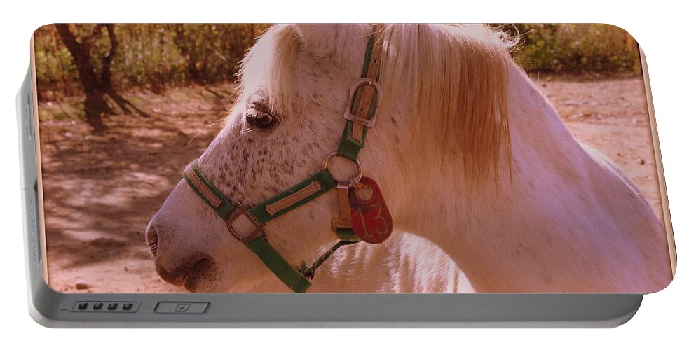 Horses Portable Battery Charger featuring the photograph The Little White Pony by Dora Sofia Caputo