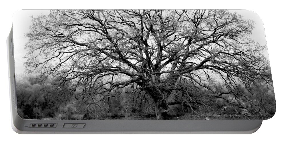 Tree Portable Battery Charger featuring the photograph The Living Tree by Deborah Crew-Johnson