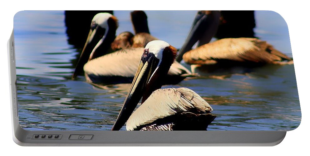 Pelican Portable Battery Charger featuring the photograph The Lovely Pelican by Debra Forand