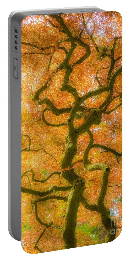 The Magic Forest Portable Battery Charger featuring the photograph The Magic Forest-15 by Casper Cammeraat