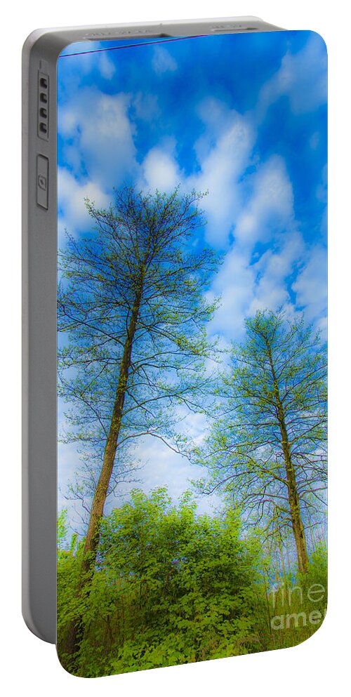 The Magic Forest Portable Battery Charger featuring the photograph The Magic Forest-23 by Casper Cammeraat