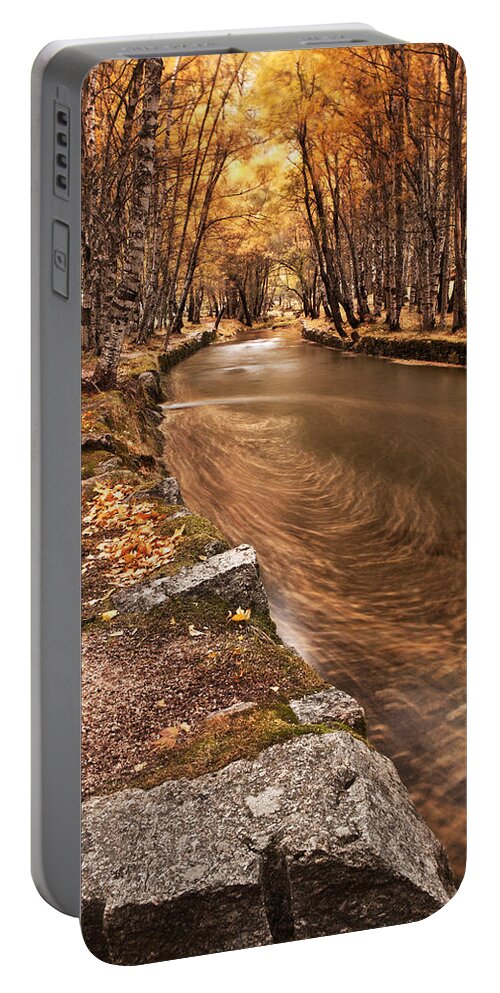 Fall Portable Battery Charger featuring the photograph The magic of fall by Jorge Maia