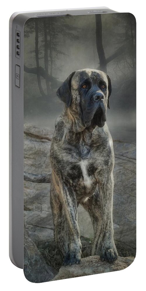 Mastiff Portable Battery Charger featuring the photograph The Mastiff by Fran J Scott