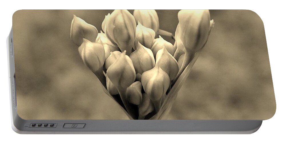Flowers Portable Battery Charger featuring the photograph The Offering by Bob Geary