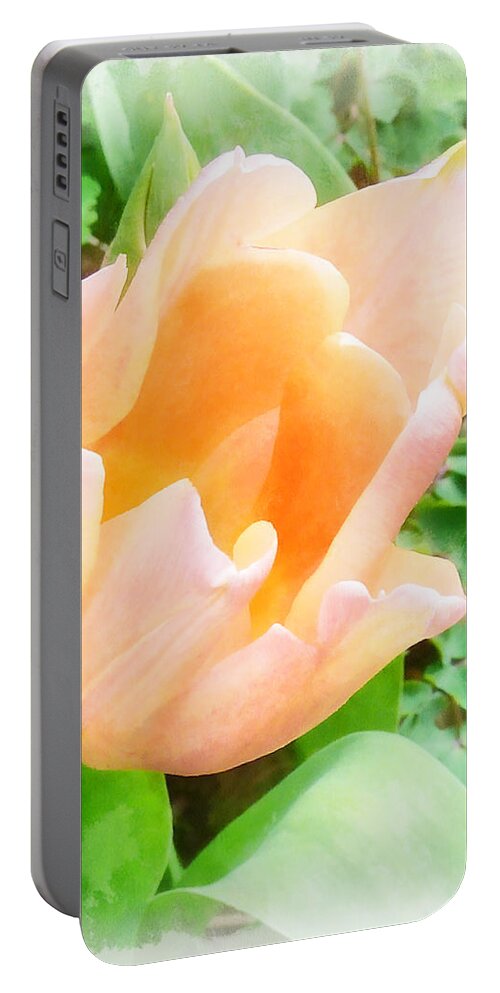 Flower Portable Battery Charger featuring the photograph The Pale Orange Tulip by Steve Taylor