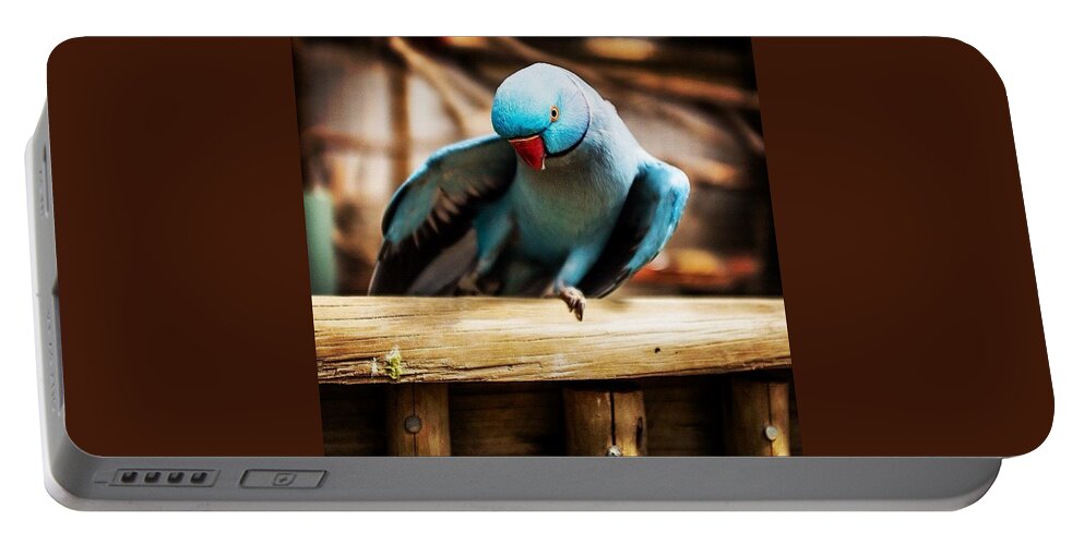 Blue Portable Battery Charger featuring the photograph The Parrot Pose by Aleck Cartwright