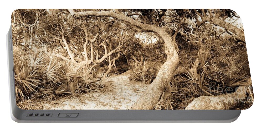 Grayton Beach State Park Portable Battery Charger featuring the photograph The Path Awaits by John Harmon