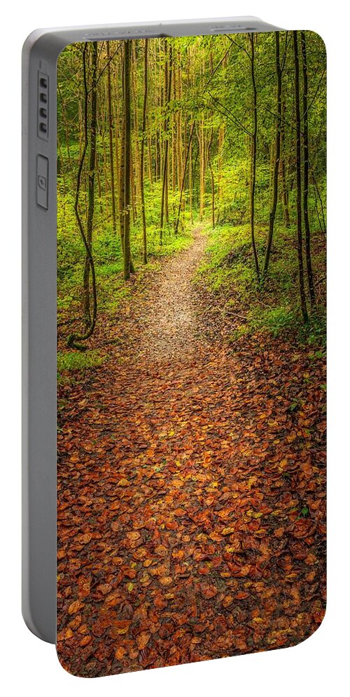 Land Portable Battery Charger featuring the photograph The Path by Maciej Markiewicz