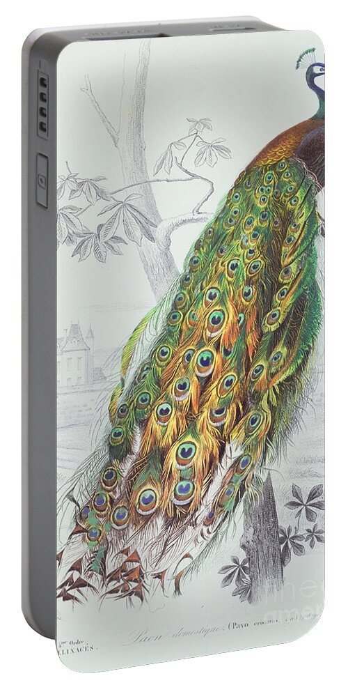 Peacock Portable Battery Charger featuring the painting The Peacock by A Fournier