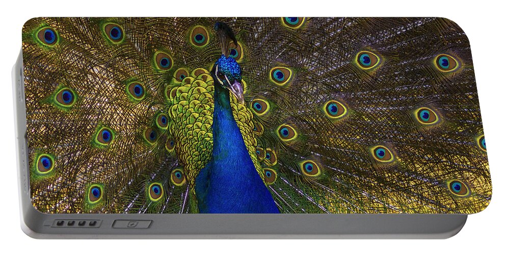 Peacock Portable Battery Charger featuring the photograph The Peacock by Anthony Davey