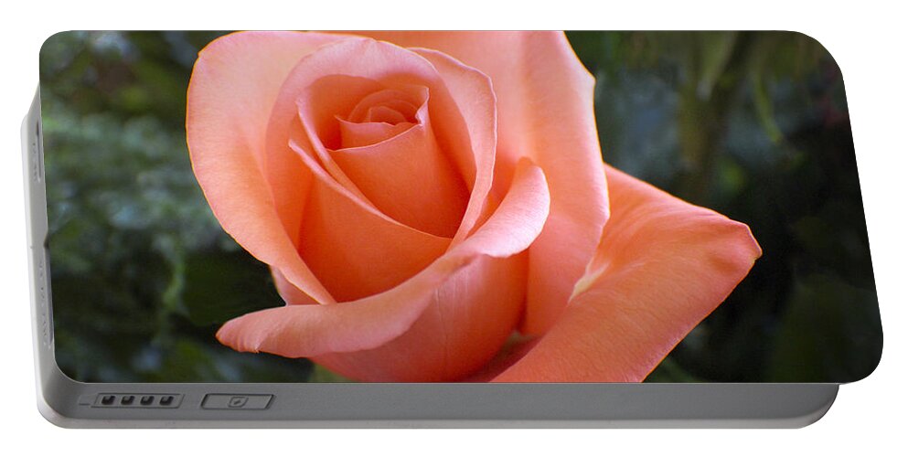 Floral Portable Battery Charger featuring the photograph The Perfect Coral Rose by Kurt Van Wagner