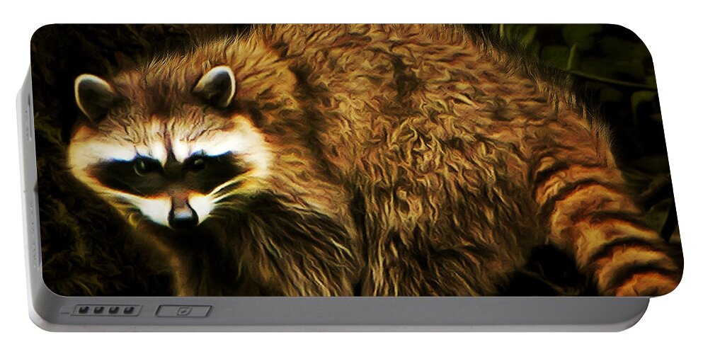 Animal Portable Battery Charger featuring the photograph The Raccoon 20150215brun square by Wingsdomain Art and Photography