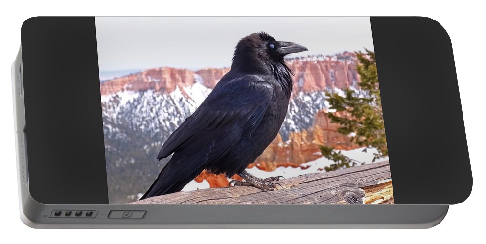 Raven Portable Battery Charger featuring the photograph The Raven by Rona Black