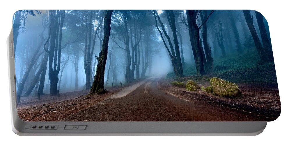 Forest Portable Battery Charger featuring the photograph The road of kings by Jorge Maia