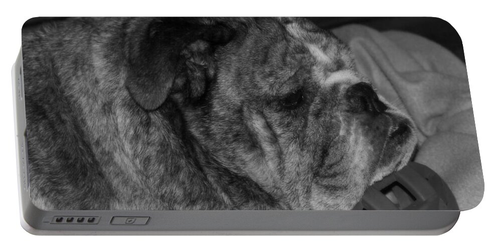 Bulldog Portable Battery Charger featuring the photograph The Sacred Ballie by Jeanette C Landstrom