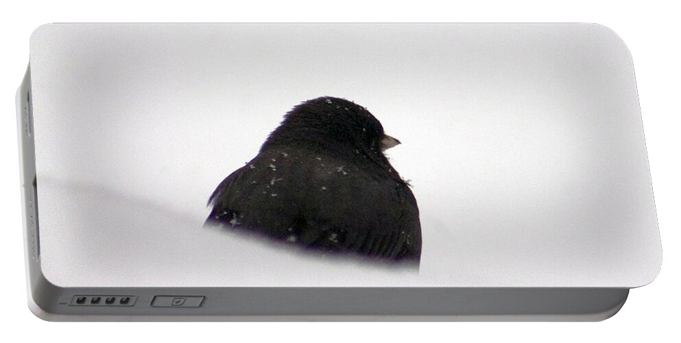 Bird Portable Battery Charger featuring the photograph The snow Thinker by Lily K
