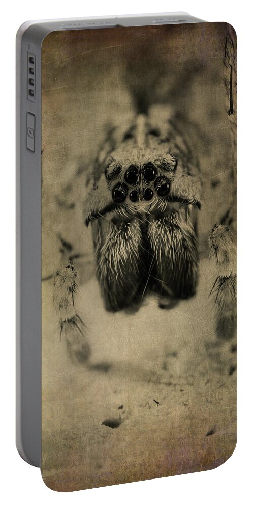 Spider Portable Battery Charger featuring the photograph The Spider Series XIII by Marco Oliveira