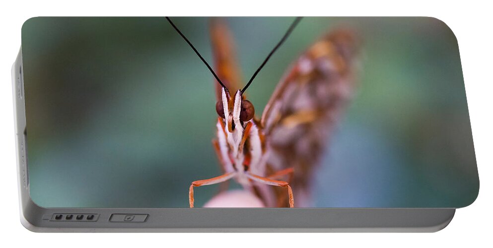 Butterfly Portable Battery Charger featuring the photograph The Staring Contest by Priya Ghose