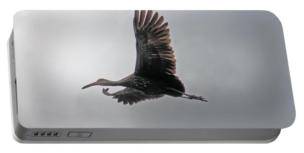 Stork Portable Battery Charger featuring the photograph The stork by Lily K