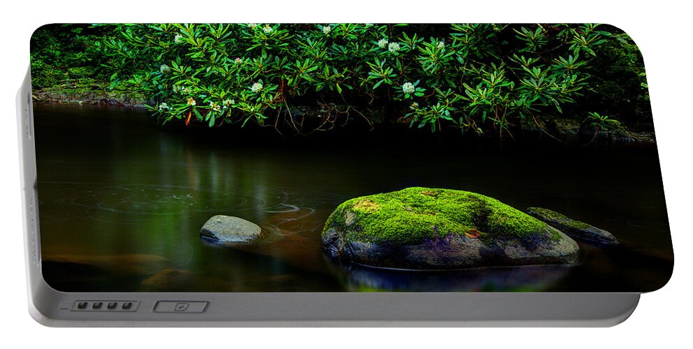 Quiet River Scene Portable Battery Charger featuring the photograph The Stream's Embrace by Michael Eingle
