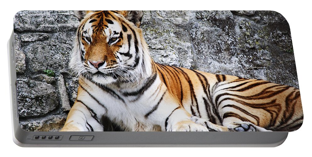 Tiger Portable Battery Charger featuring the photograph The Tiger by Jelena Jovanovic