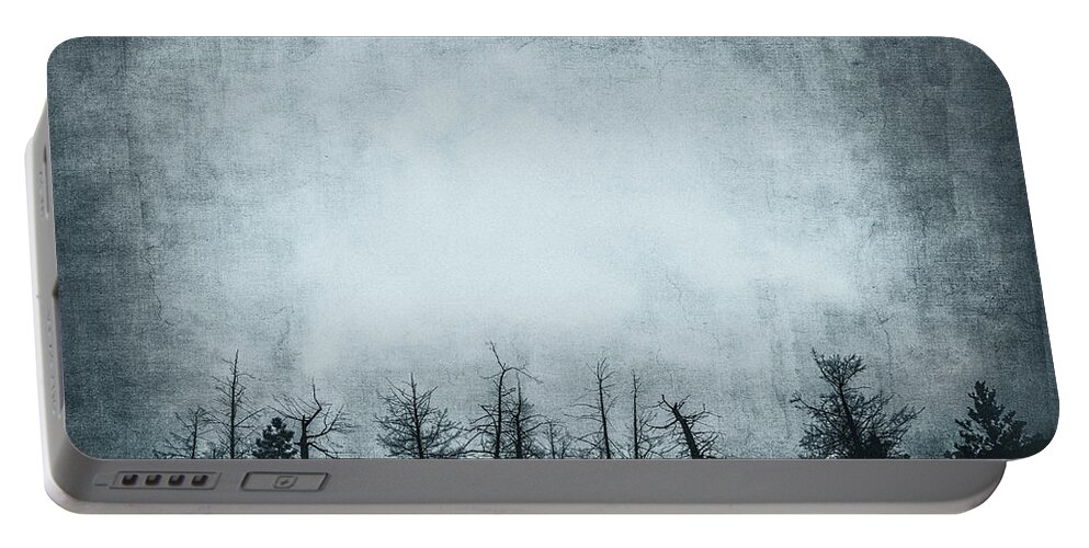 Grunge Portable Battery Charger featuring the photograph The Trees On The Ridge by Theresa Tahara