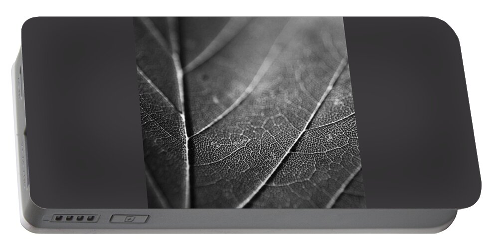 Life Portable Battery Charger featuring the photograph The Tributaries Of Life by Aleck Cartwright