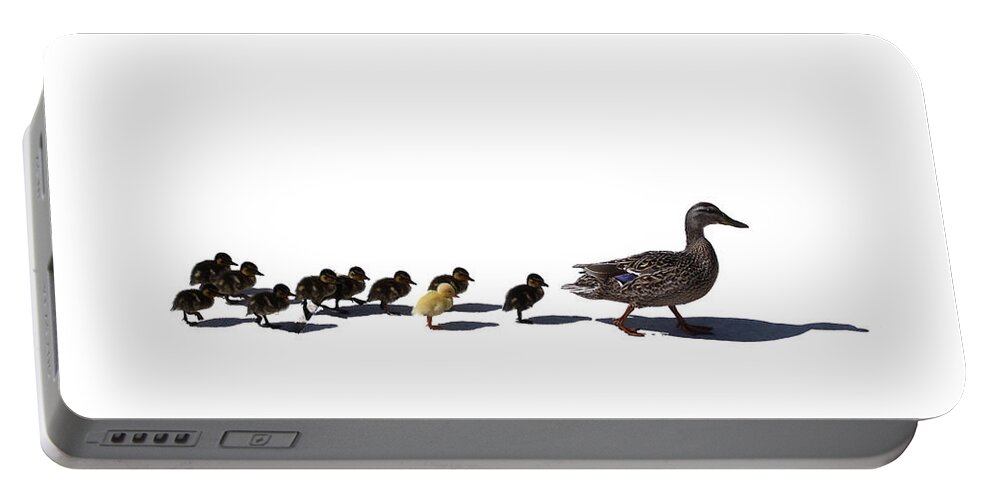 Animal Portable Battery Charger featuring the photograph The Ugly Duckling by Lars Lentz