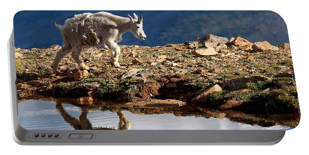 Mountain Goats Portable Battery Charger featuring the photograph The Walk-About by Jim Garrison
