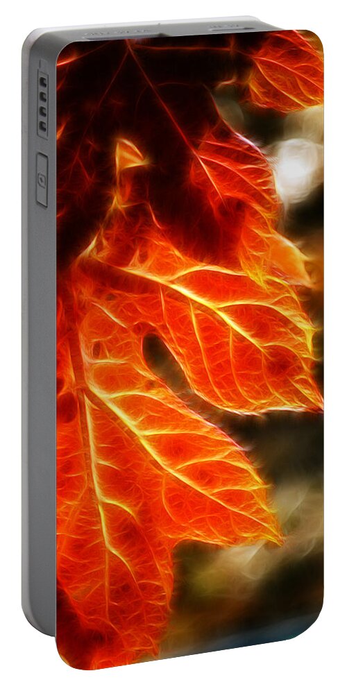 Fall Portable Battery Charger featuring the photograph The Warmth of Fall by Lisa Stanley