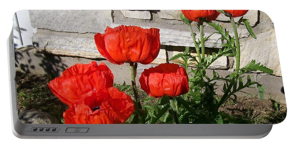 Poppies Portable Battery Charger featuring the photograph The whole litter.... by Jackie Mueller-Jones