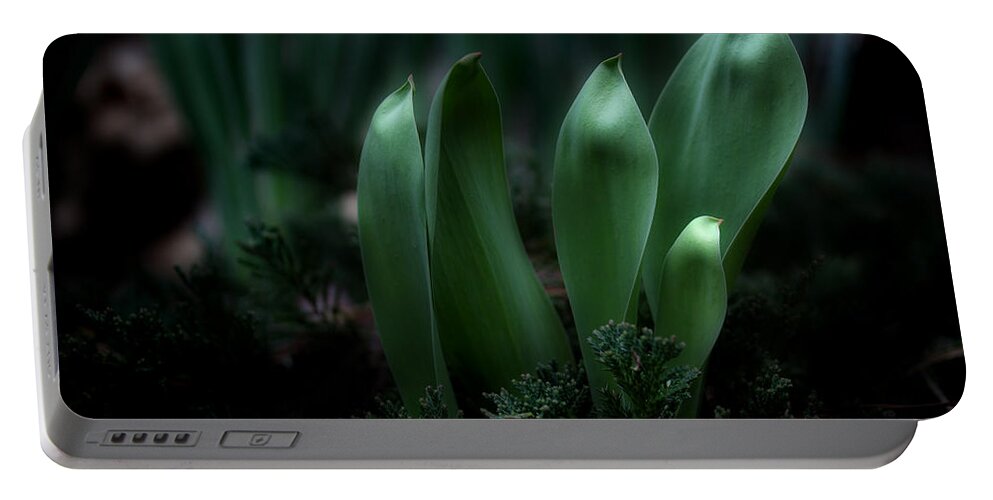 Garden Leaves Portable Battery Charger featuring the photograph The Wonders Of Spring by Michael Eingle