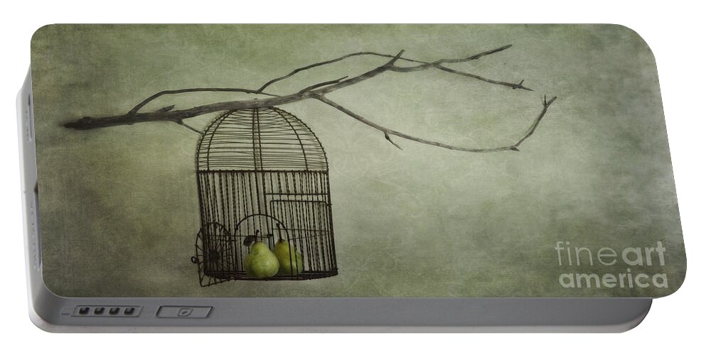 Pears Portable Battery Charger featuring the photograph There is a world outside by Priska Wettstein