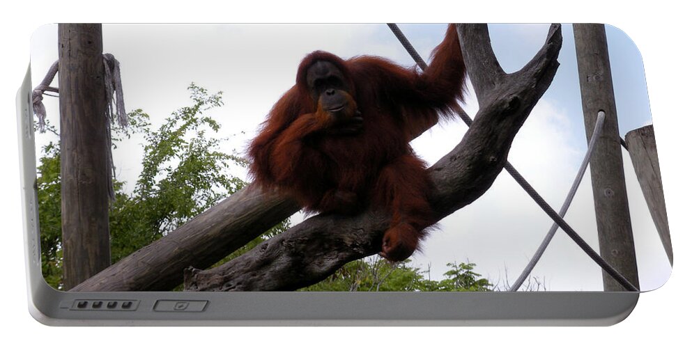Orangutang Portable Battery Charger featuring the photograph Thinking of you by Joseph Baril