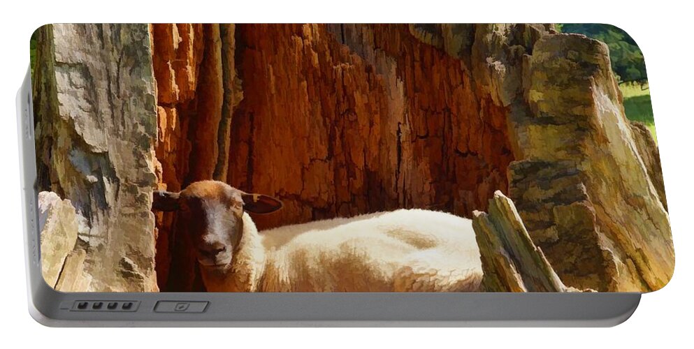 Lamb Portable Battery Charger featuring the photograph This is my spot by Ron Harpham