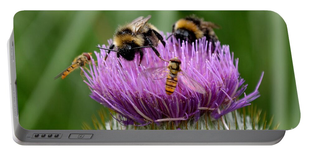 Thistle Portable Battery Charger featuring the photograph Thistle Wars by Scott Lyons