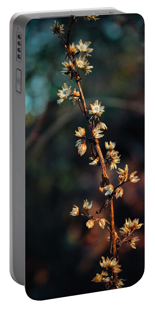 Nature Portable Battery Charger featuring the photograph Thread of Hope by Jessica Brawley