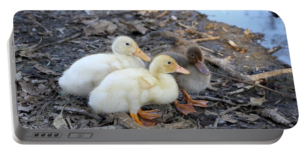 Baby Portable Battery Charger featuring the photograph Three Baby Ducks by Diana Haronis