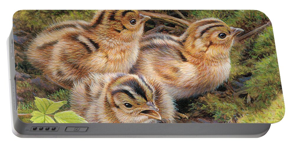 Animal Portable Battery Charger featuring the photograph Three Pheasant Chicks In Grass by Ikon Ikon Images