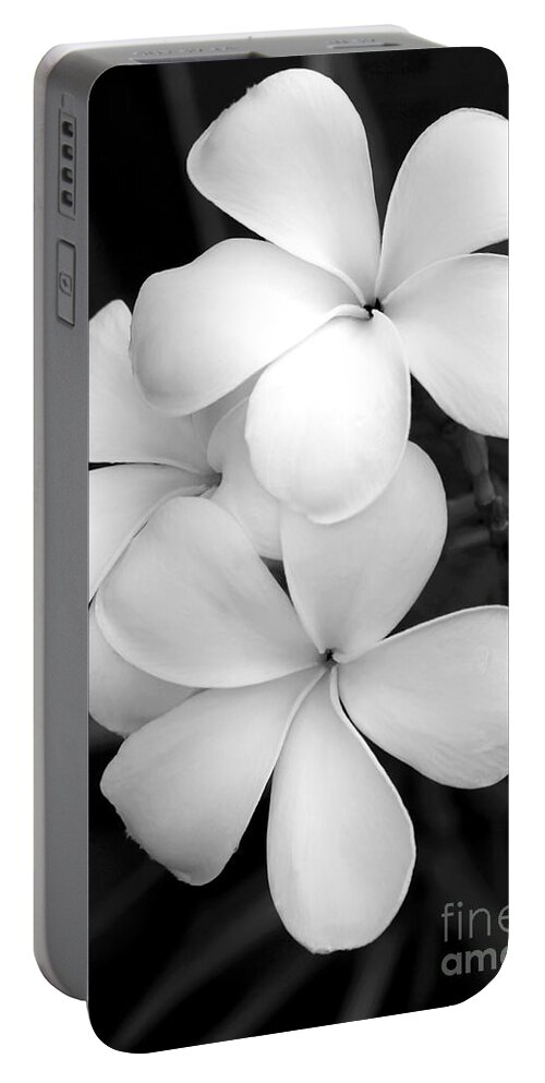 Macro Portable Battery Charger featuring the photograph Three Plumeria Flowers in Black and White by Sabrina L Ryan