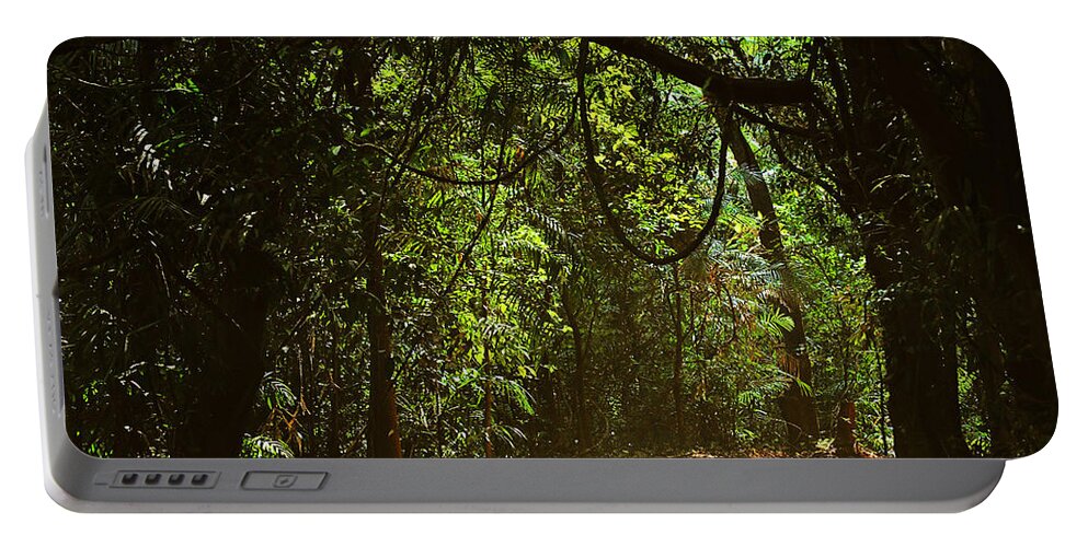 India Portable Battery Charger featuring the photograph Through the Jungles by Jenny Rainbow