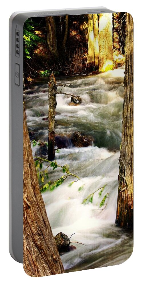 Creek Portable Battery Charger featuring the photograph Through the Trees by Marty Koch
