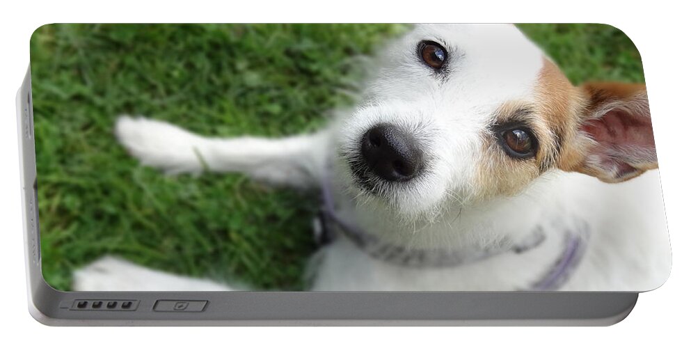 Jack Russell Portable Battery Charger featuring the photograph Throw it again by Laurel Best