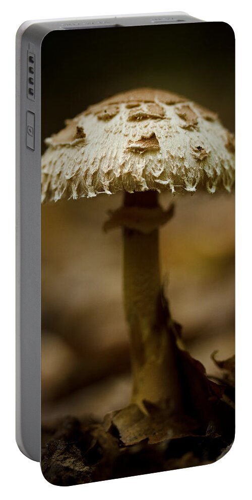 Mushroom Portable Battery Charger featuring the photograph Tiffany Shroom by Shane Holsclaw