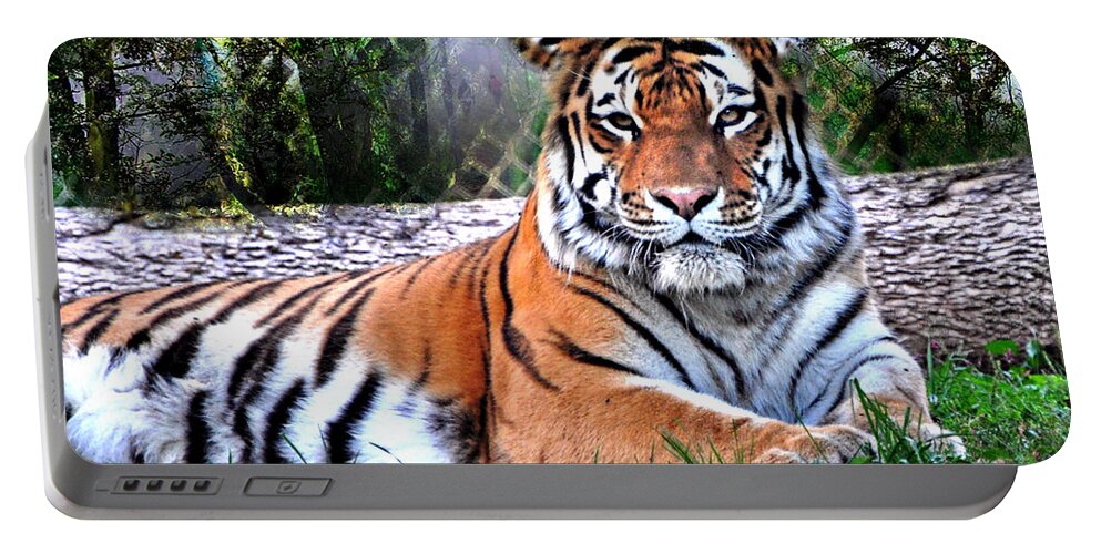 Tiger Portable Battery Charger featuring the photograph Tiger 2 by Marty Koch