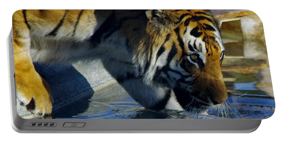 Lions Tigers And Bears Portable Battery Charger featuring the photograph Tiger 2 by Phyllis Spoor