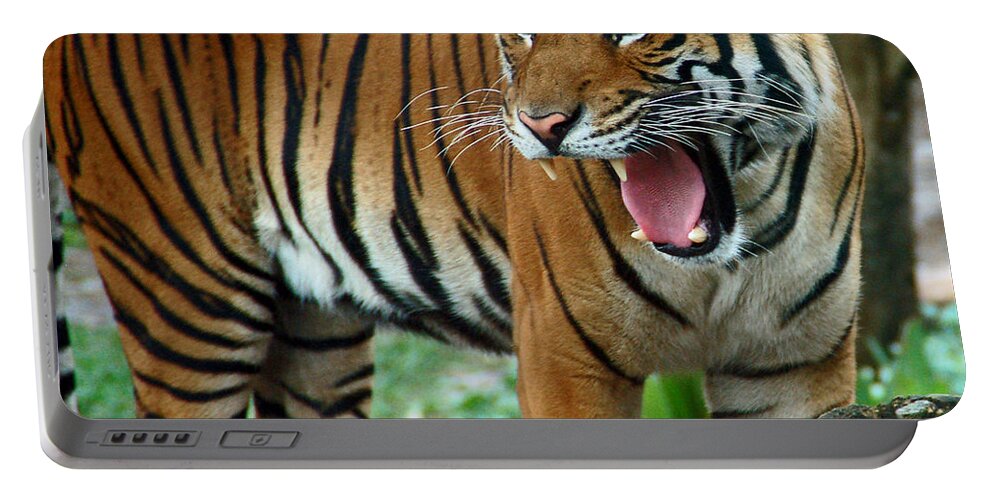 Tiger Portable Battery Charger featuring the photograph Tiger by Aimee L Maher ALM GALLERY