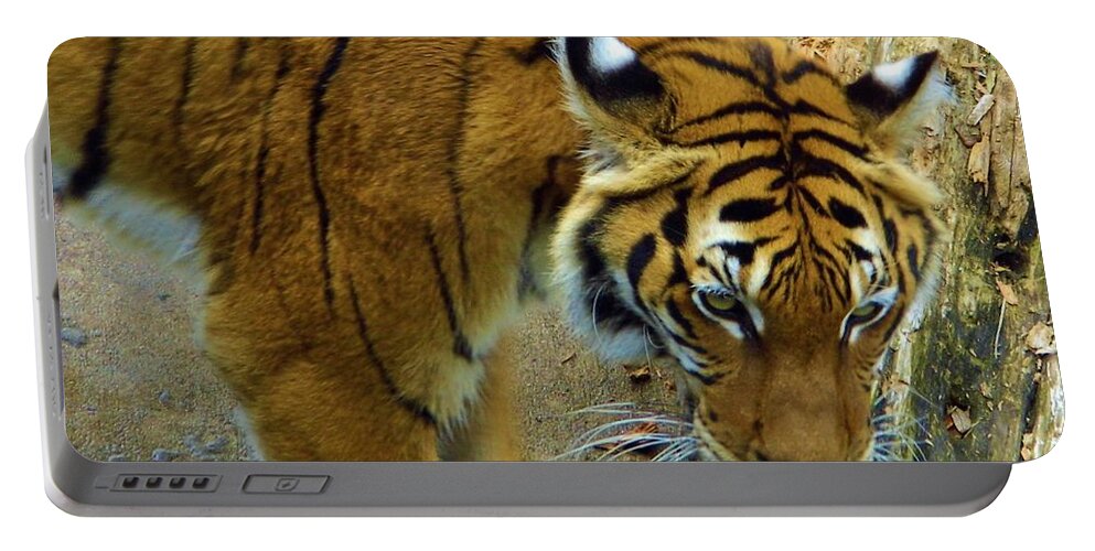 Tiger Portable Battery Charger featuring the photograph Tiger Close Up by D Hackett