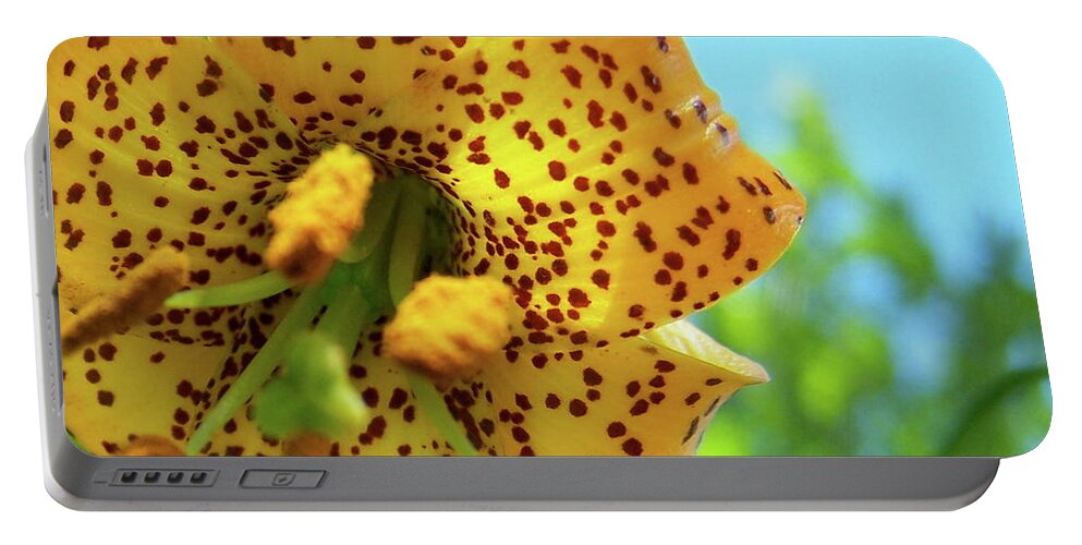 Flower Portable Battery Charger featuring the photograph TIger 'n' Sky by Jamie Johnson